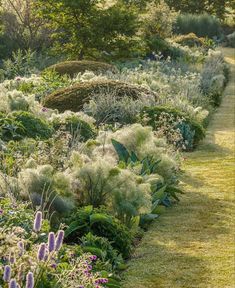 a garden filled with lots of different types of plants