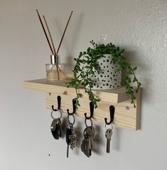 a wooden shelf with key hooks and plants on the top, hanging from it's sides