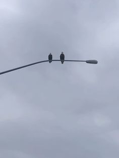 two birds sitting on top of a street light with cloudy skies in the back ground