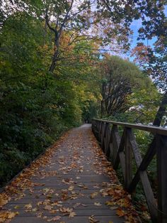 a wooden walkway surrounded by trees and leaves