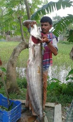 a man holding a large fish in his hands