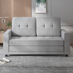 a gray couch sitting on top of a rug in a living room