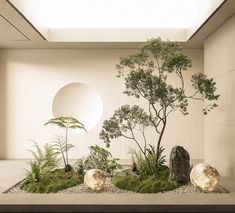 a room with plants and rocks in it