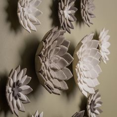 paper flowers are arranged on the wall