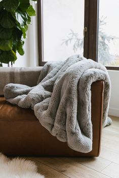 a couch with a blanket on top of it in front of a potted plant