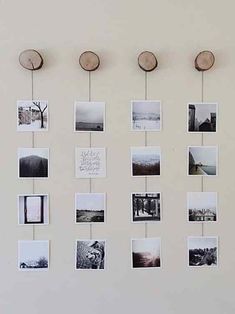 there are many pictures hanging on the wall with wooden circles attached to them and some wood slices