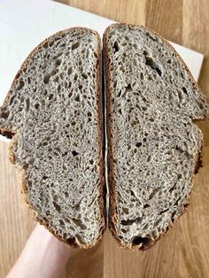 a close up of a person holding a piece of bread