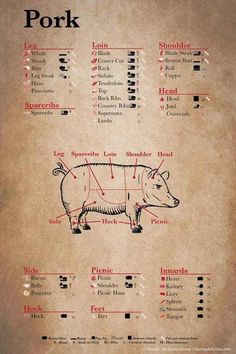 a diagram showing the parts of a pork