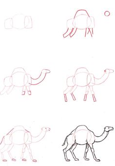 how to draw a camel step by step