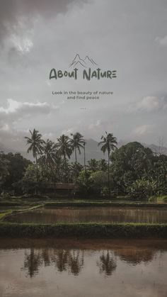 an image of a lake with palm trees and mountains in the background that reads about nature