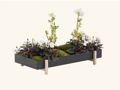 two planters with plants in them sitting on top of each other, one is filled with moss and the other has white flowers