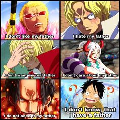 anime characters with different expressions and sayings about their roles in the film one piece