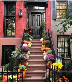 an entrance to a home with pumpkins and flowers on the steps