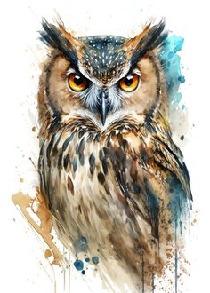 an owl with orange eyes is shown in this watercolor painting