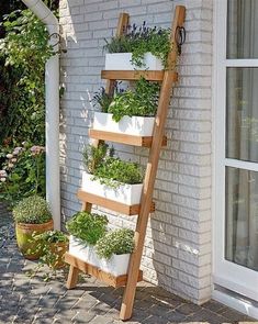 a wooden ladder with plants growing on the side of it and potted plants in front