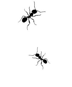 two mosquito silhouettes against a white background