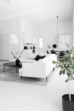 a living room with white furniture and plants