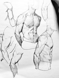 a drawing of a man's torso and arm with muscles drawn in pencil on paper