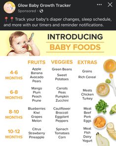 an info sheet with baby foods on it