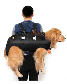 a man carrying two dogs in his back pack