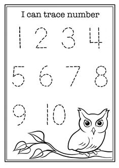 an owl is sitting on a branch with numbers