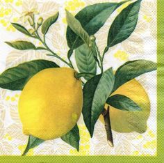 two lemons with green leaves on a white doily