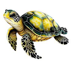 a drawing of a green sea turtle with yellow spots on it's back and head