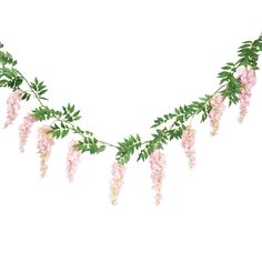 pink flowers and green leaves are hanging from a long branch on a white background with space for text