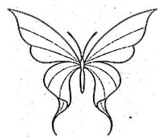 a drawing of a butterfly that is drawn in the shape of a flower with long wings