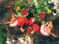 two teddy bears are holding strawberries in their hands