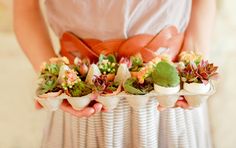 a woman is holding two trays with succulents in them and flowers