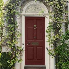 a red door with vines growing around it