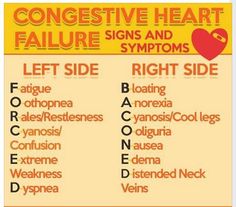 a poster with the words, signs and symptoms in different languages on it