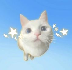 a white cat with blue eyes looking up at the sky and stars coming out of it