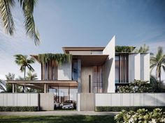 an artist's rendering of a modern house with palm trees in the front yard