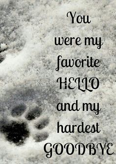 an animal paw print with the words you were my favorite 1910 and my hardest goodbye