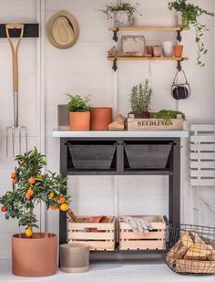 a shelf filled with lots of potted plants next to a wall mounted radiator