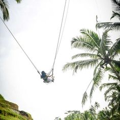 a person is hanging from a rope in the air with palm trees behind them and another person standing next to him