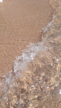 a bird is standing in the water at the beach