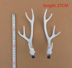 two fake white antlers next to a ruler