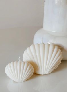 two white seashells sitting next to a bottle