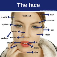 a woman's face with arrows pointing to the different parts of her nose and mouth