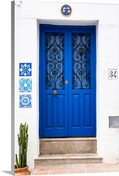 a blue door with decorative tiles on the wall behind it and a cactus next to it