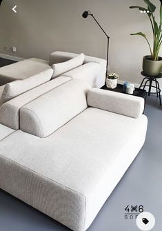 a white couch sitting next to a potted plant