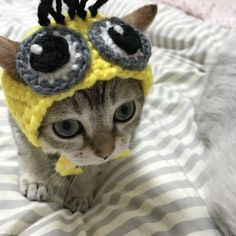 a cat wearing a yellow hat with googly eyes on it's head and ears