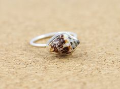 *This is a unique ring with a beautiful sea shell ! *Collected from the greek islands these treasures are turned into these bohemian chic rings that are definitely eye catching ! *Available in sterling silver or gold plated silver ! *The sea shell is natural - Please allow for slight differences in color and size *The ring's band measures 1.5cm *This ring is made to order.Please allow me up to 1 week to have it ready for you ! It will come beautifully gift wrapped for you or your beloved ! You c Ocean-inspired Shell Rings For Beach, Handmade Shell Ring For Beach, Handmade Summer Rings, Sea Rings, Seashell Ring, Beach Rings, Chic Rings, Bohemian Ring, Shell Ring