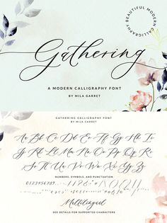 an ornate calligraphy font with flowers and leaves on the bottom, along with other handwritten letters