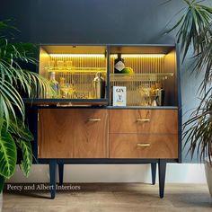 a wooden cabinet sitting next to a potted plant