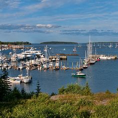 a harbor filled with lots of boats on top of a body of water surrounded by forest