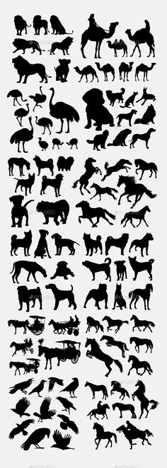 the silhouettes of animals are shown in black and white